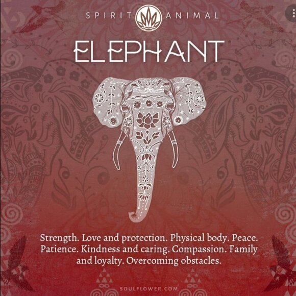 7 Chakras ~ Elephant Lovers ~ Rainbow Colors ~ Unique Earrings - Picture 5 of 5